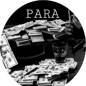 PARA | VIZEC