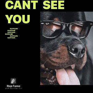 CANT  SEE YOU