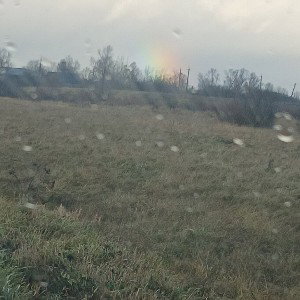 лучшая жизнь