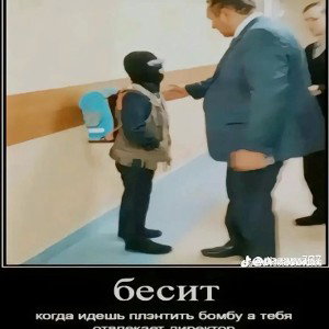 Зеленоглазые попки -слабоумие и слабоумие
