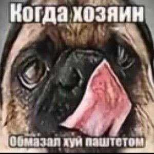 Хавчик