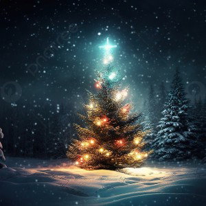 MERRY CHRISTMAS HIM