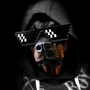 VoLeVO fArE iL BOSS