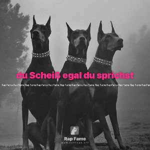 du Scheiß egal du sprichst