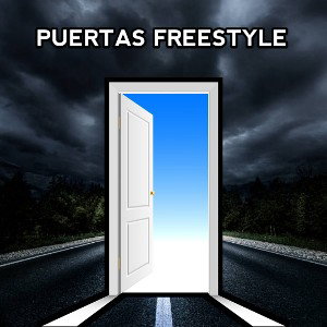 PUERTAS FREESTYLE 