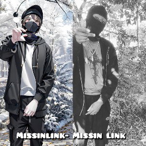 Missinlink- Missin link 