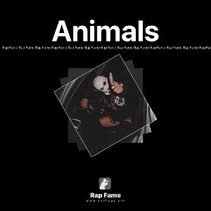Animals 