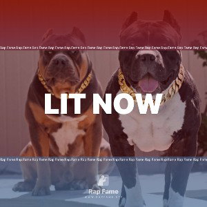 Lit Now