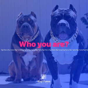 Who you are?