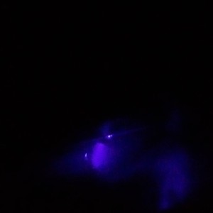 Aisosabaddest_-_blue