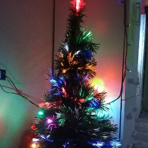 С, НО-ВЫМ,ГО-ДОМ!!!!!!!!