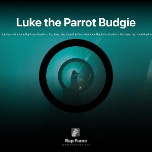 Luke the Parrot Budgie 