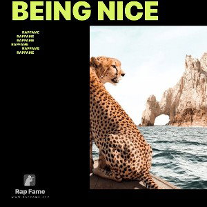 Being Nice 