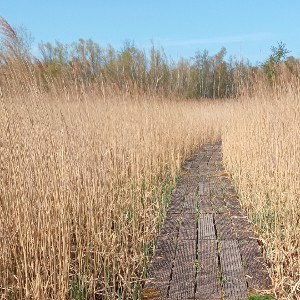 hardTrail