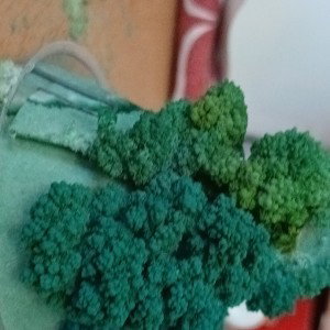 Зомби Апокалипсис отстой
