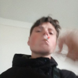 ywn melly _b2b