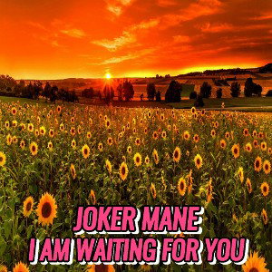 I Am Waiting For You 