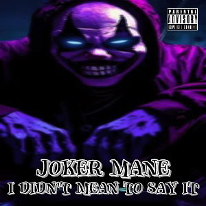 I Didn't Mean To Say it