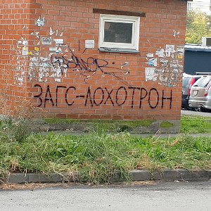 грыбы апята 