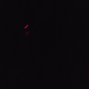 damn its hit