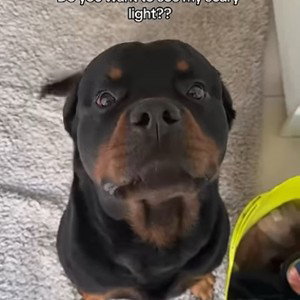 I’m not your friend 