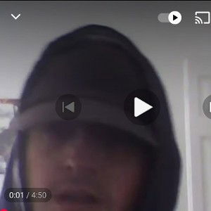 Paulie's rip _free style_(2014)