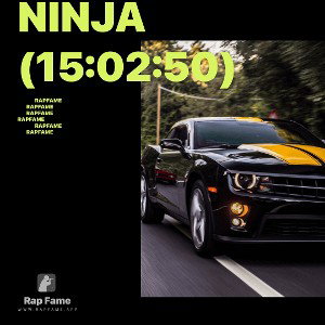 Ninja (15:02:50)