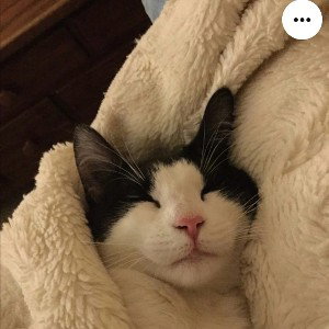 Life is hard,