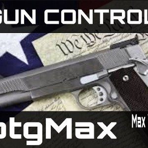 gun control
