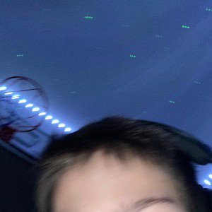 dawg
