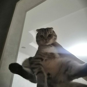 деньги
