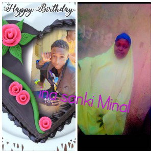 ina sanki minal