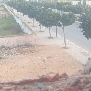 حبيبي انا راوءyoussef44