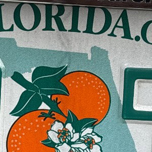 Florida boy