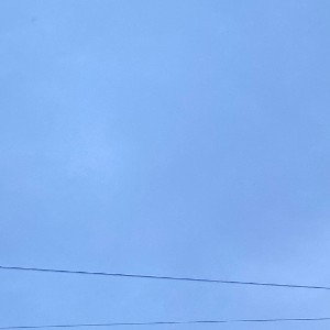 Moet (18:50:41)
