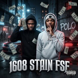 STAIN FSF