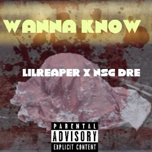 WannaknowFTLilreaperXNSGDRE