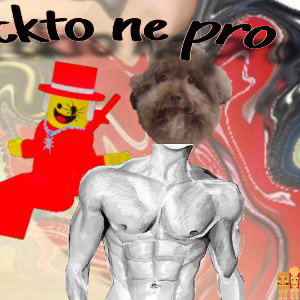 ckt ne pro byrgero and frugo