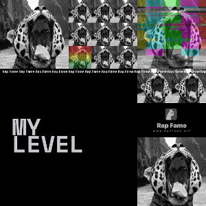 My Level