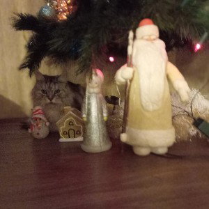 Лабиринт жизни