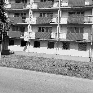 DROTENKA HOOD