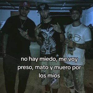 NLO C