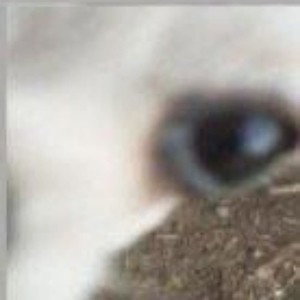 гг