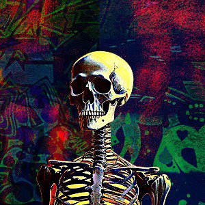 Shadows _Echos_ 