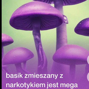 narcotrip