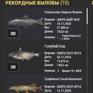 Спининг