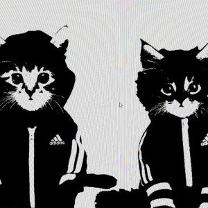 школьный криминал 