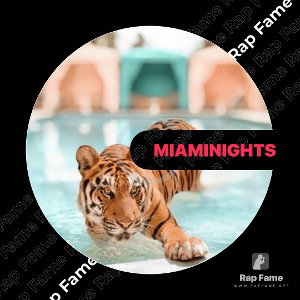 miami nights
