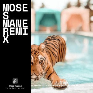 Moses mane remix