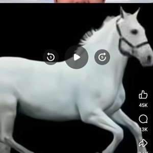 freestyle my nigga